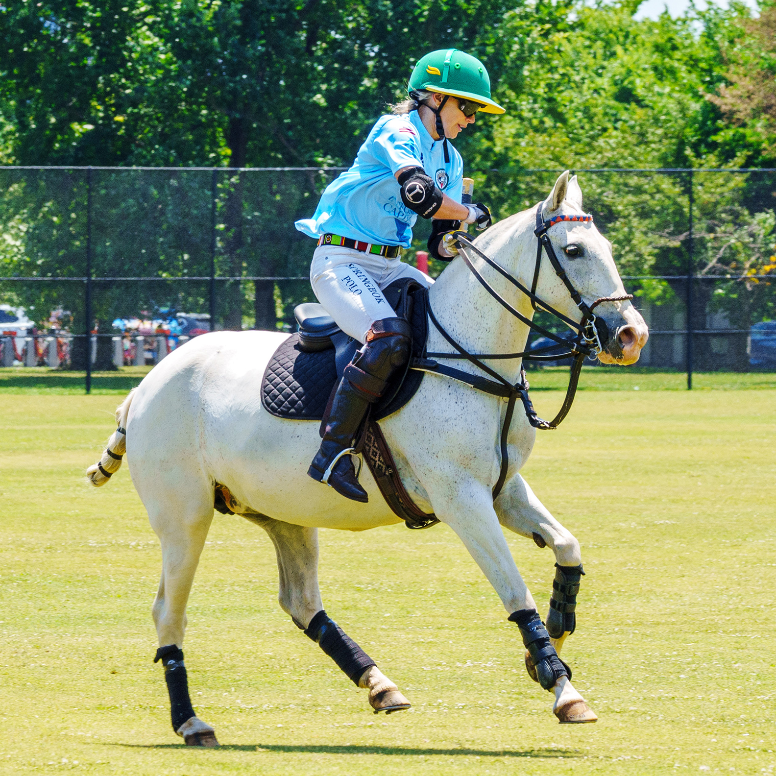 Equestrian